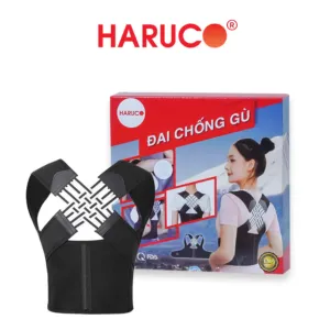 dai-lung-chong-gu-haruco