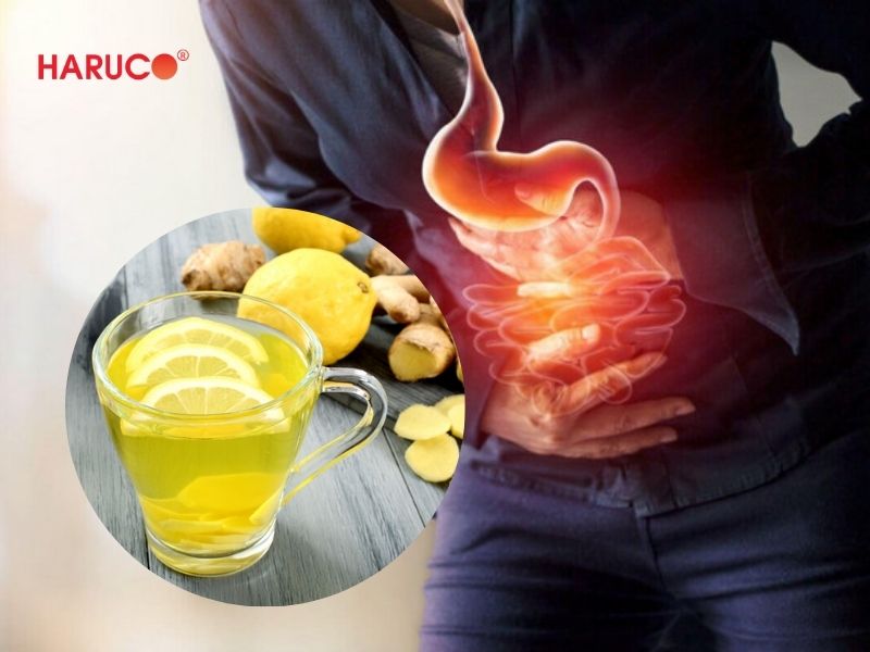 dai-gel-chuom-nong-lanh-haruco