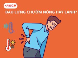 dai-gel-chuom-nong-lanh-haruco