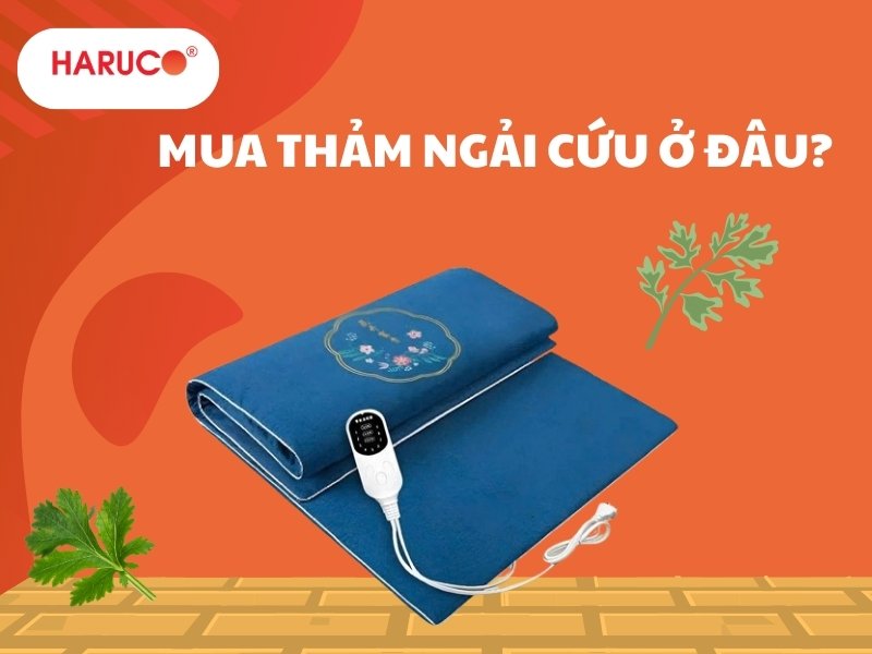 Địa chỉ mua thảm ngải cứu ở đâu uy tín, giá hợp lý?