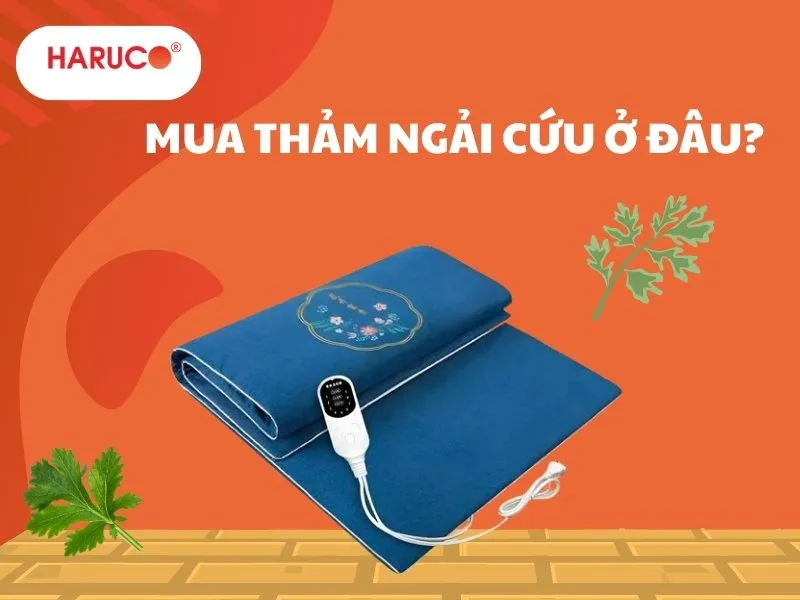 tham-ngai-cuu-dong-y-haruco