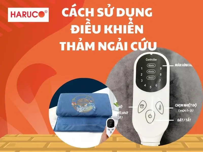 tham-ngai-cuu-dong-y-haruco