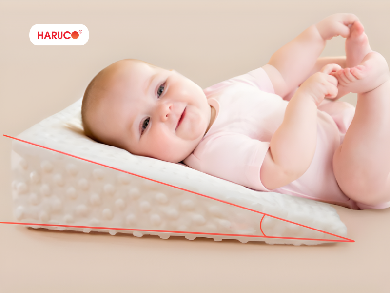 goi-chong-trao-nguoc