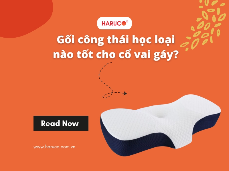 Gối công thái học loại nào tốt cho cổ vai gáy?