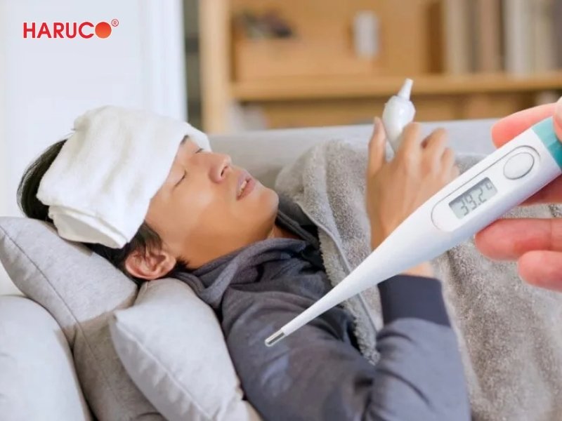 dai-gel-chuom-nong-lanh-haruco