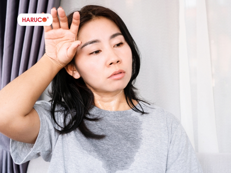 leu-xong-hoi-tai-nha-haruco