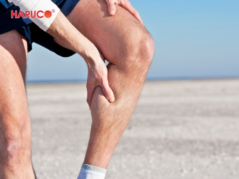 dai-gel-chuom-nong-lanh-haruco