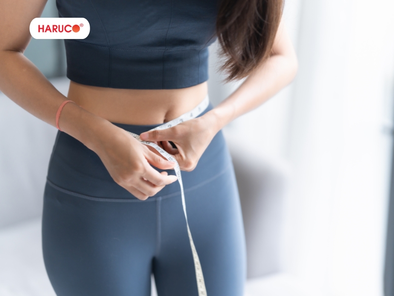 leu-xong-hoi-tai-nha-haruco