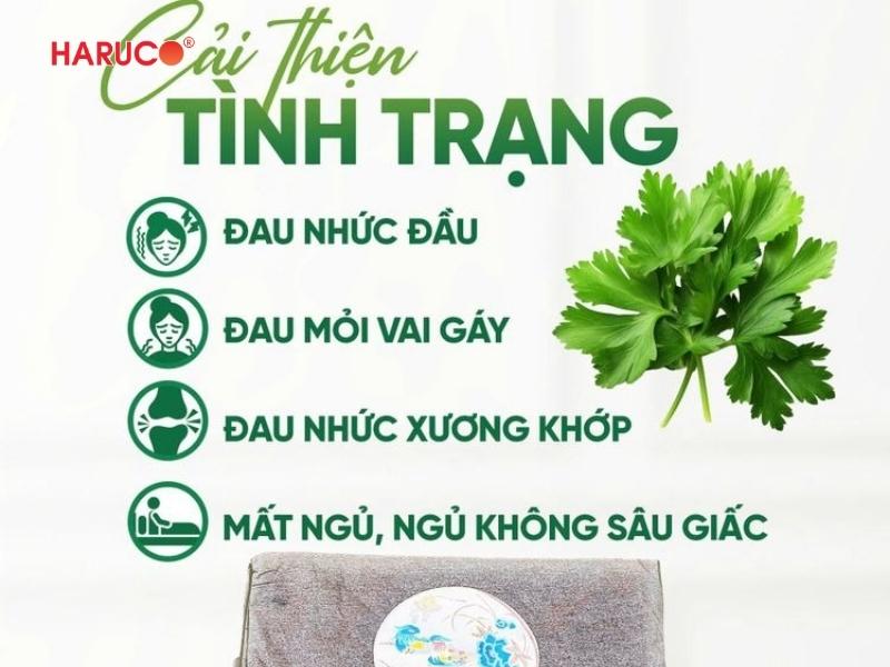 tham-ngai-cuu-dong-y-haruco