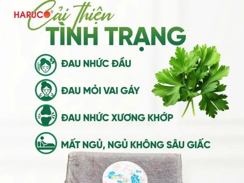 tham-ngai-cuu-dong-y-haruco