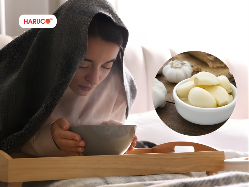 leu-xong-hoi-tai-nha-haruco