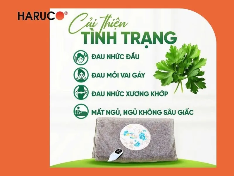 tham-ngai-cuu-dong-y-haruco