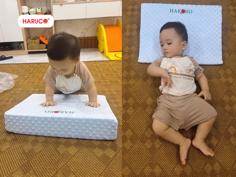 goi-chong-trao-nguoc