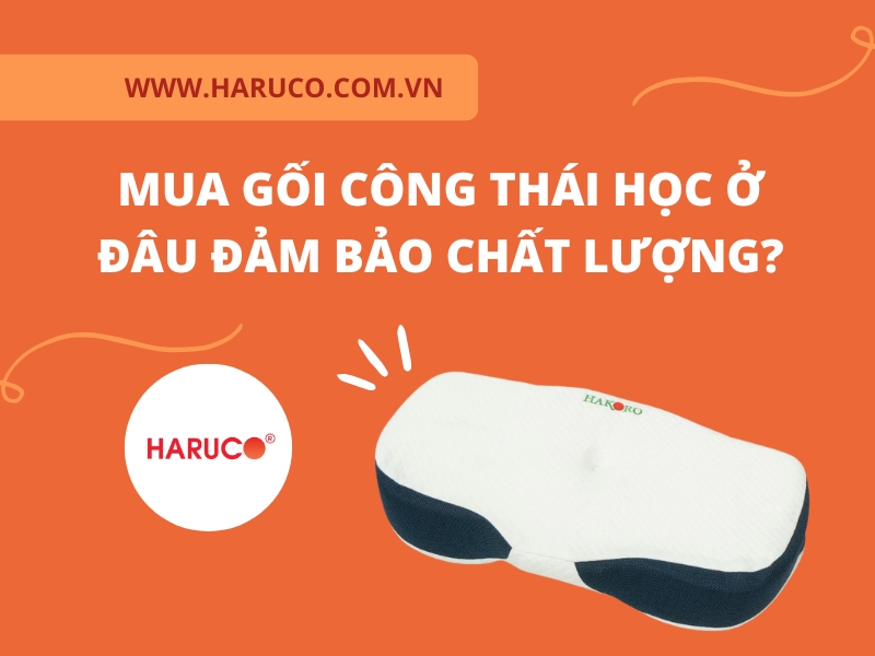 Mua gối công thái học ở đâu đảm bảo chất lượng?