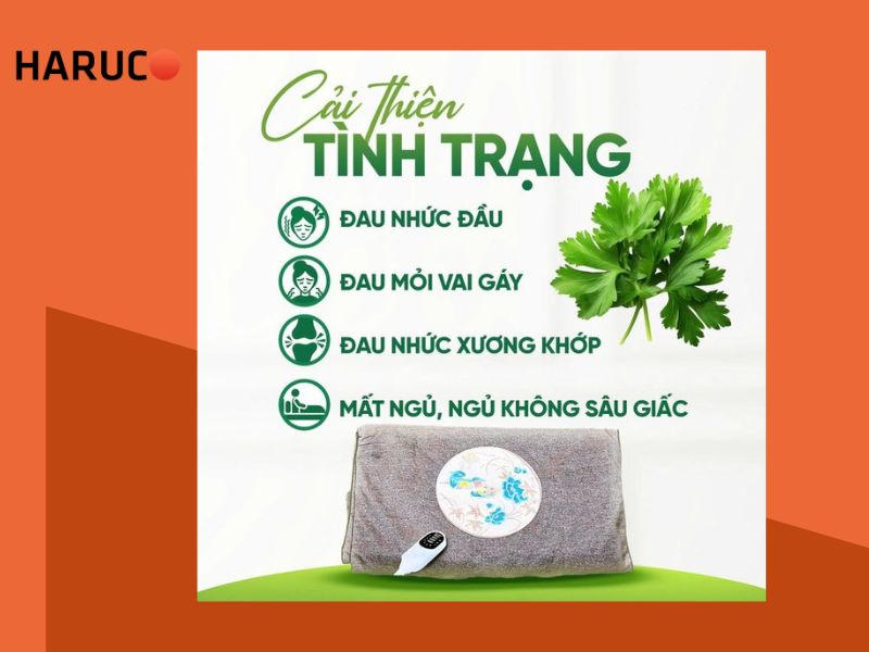 tham-ngai-cuu-dong-y-haruco