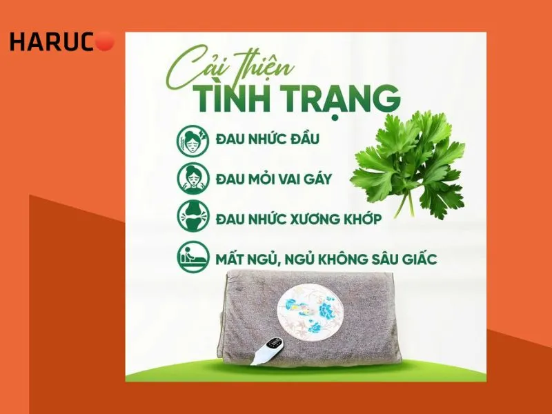 tham-ngai-cuu-dong-y-haruco