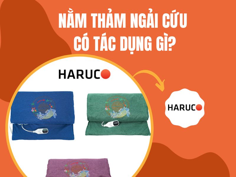 tham-ngai-cuu-dong-y-haruco