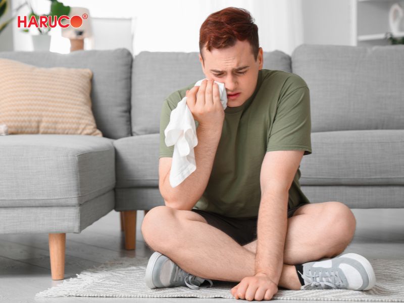 dai-gel-chuom-nong-lanh-haruco