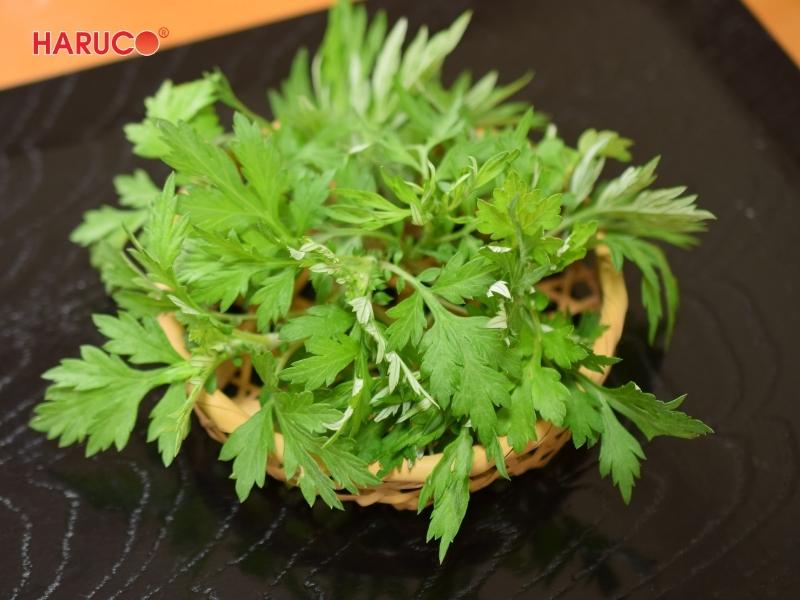 tham-ngai-cuu-dong-y-haruco