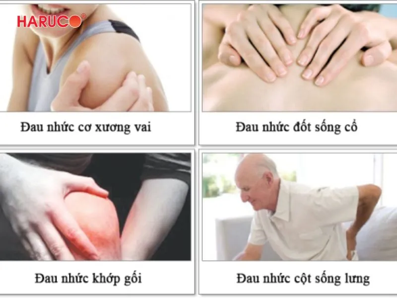 dai-gel-chuom-nong-lanh-haruco