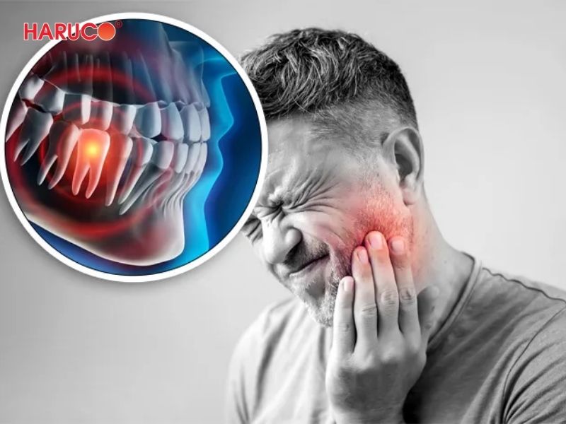 dai-gel-chuom-nong-lanh-haruco