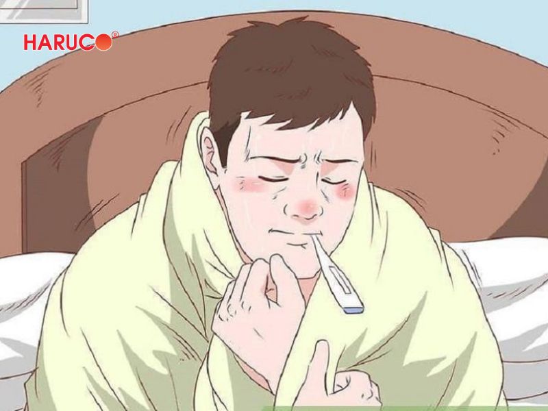 dai-gel-chuom-nong-lanh-haruco