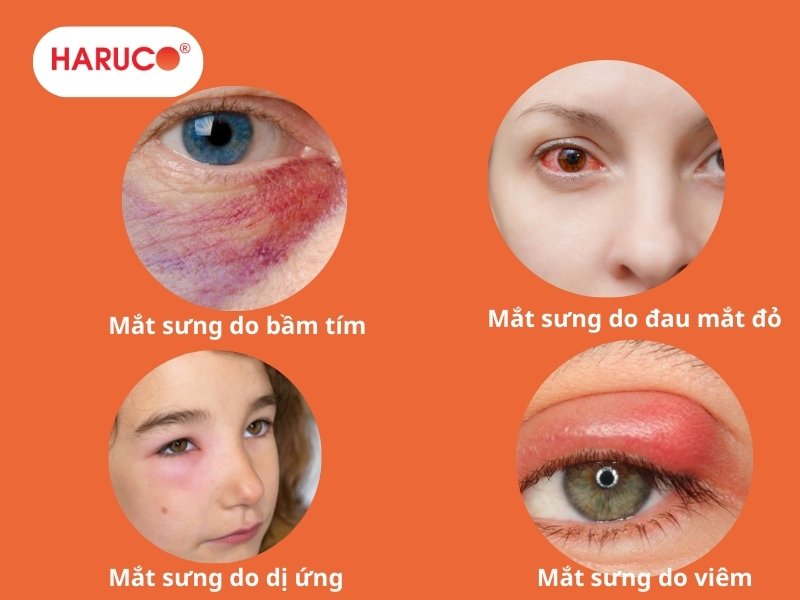 dai-gel-chuom-nong-lanh-haruco