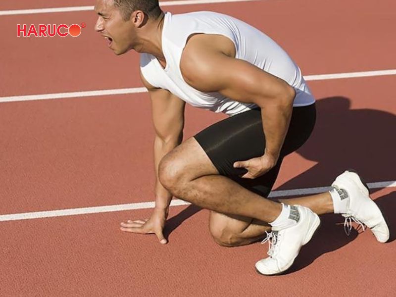 dai-gel-chuom-nong-lanh-haruco