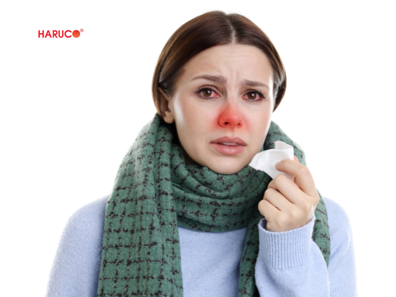 leu-xong-hoi-tai-nha-haruco