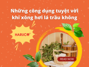 leu-xong-hoi-tai-nha-haruco