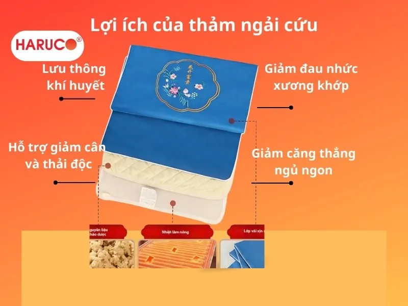 tham-ngai-cuu-dong-y-haruco