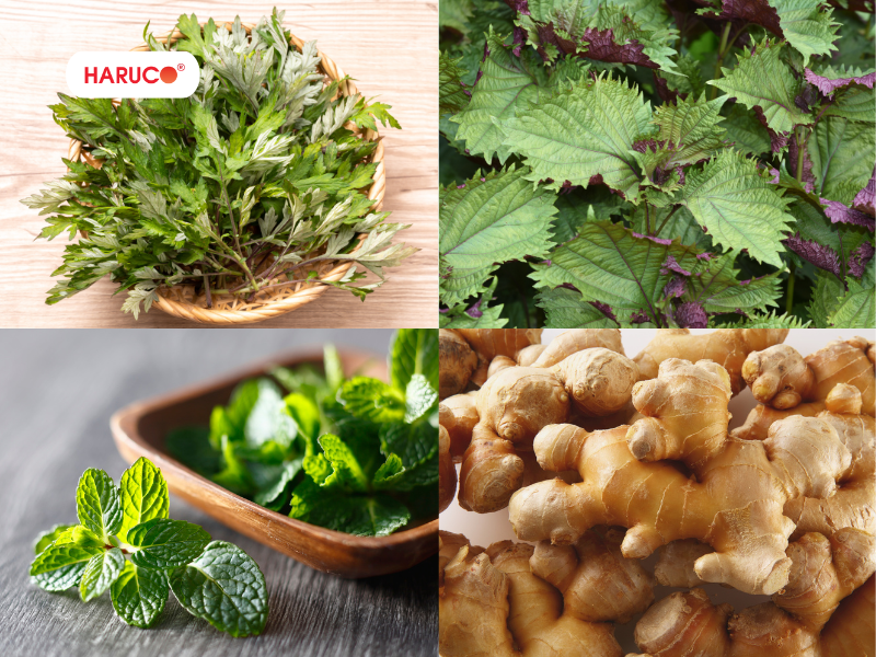 leu-xong-hoi-tai-nha-haruco