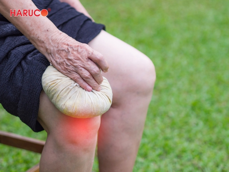 dai-gel-chuom-nong-lanh-haruco