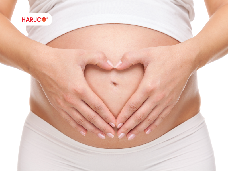 leu-xong-hoi-tai-nha-haruco