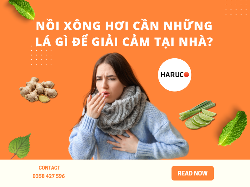 leu-xong-hoi-tai-nha-haruco