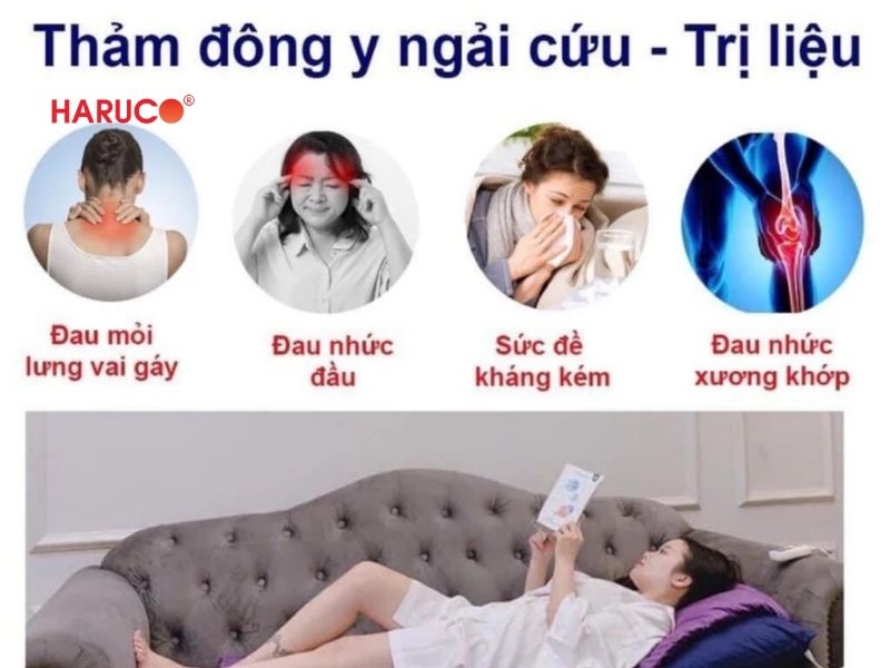 tham-ngai-cuu-dong-y-haruco