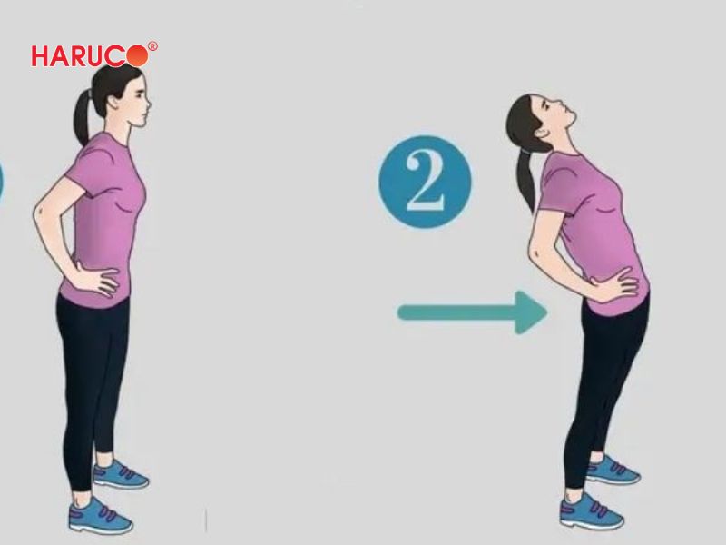 dai-gel-chuom-nong-lanh-haruco