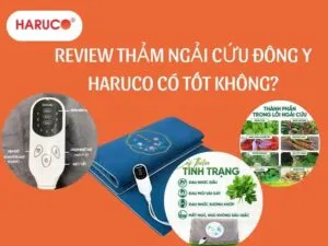 tham-ngai-cuu-dong-y-haruco
