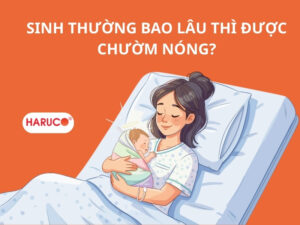 dai-gel-chuom-nong-lanh-haruco