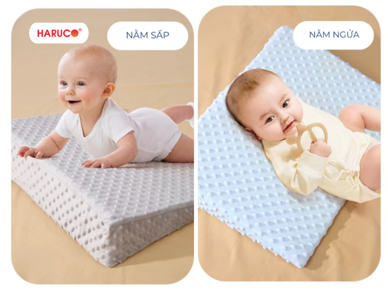 goi-chong-trao-nguoc