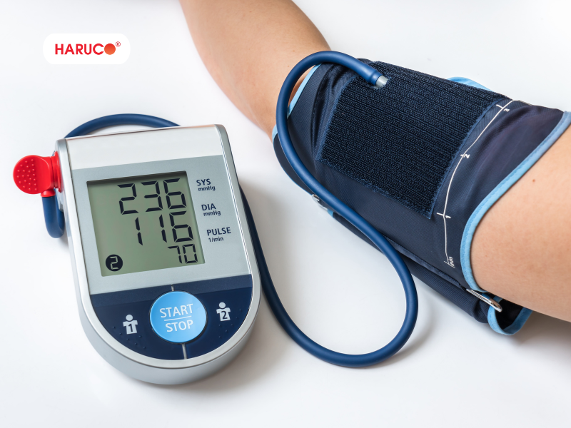 leu-xong-hoi-tai-nha-haruco