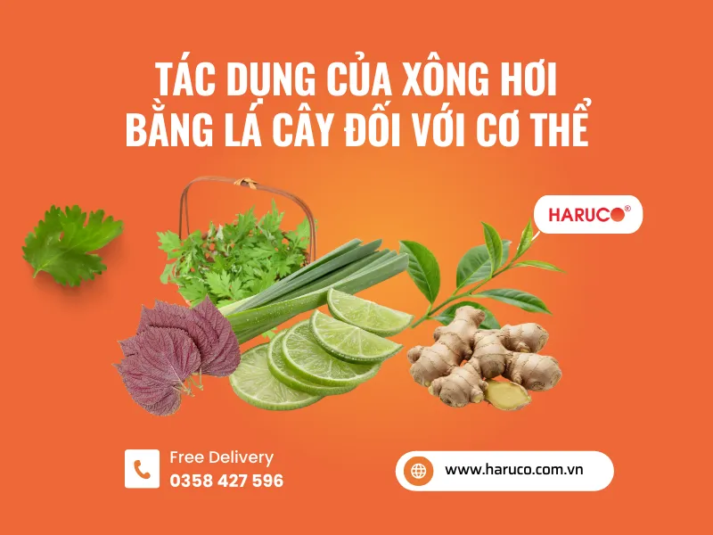 leu-xong-hoi-tai-nha-haruco