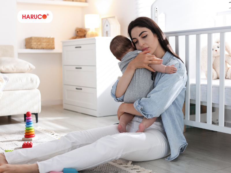 leu-xong-hoi-tai-nha-haruco