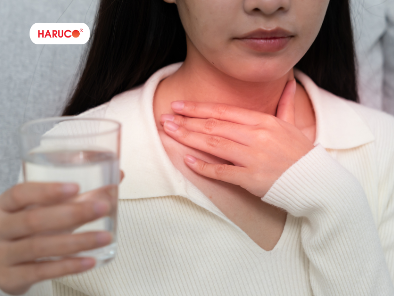 leu-xong-hoi-tai-nha-haruco