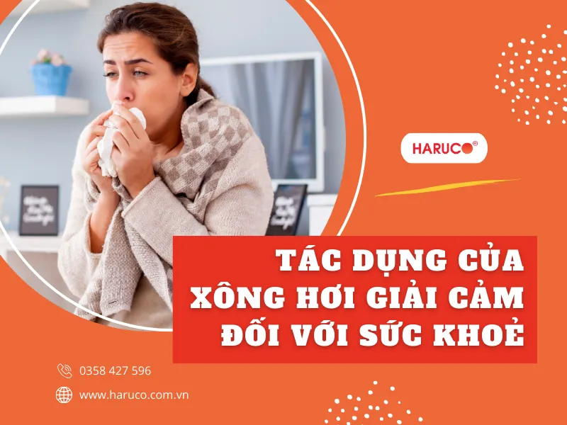 leu-xong-hoi-tai-nha-haruco
