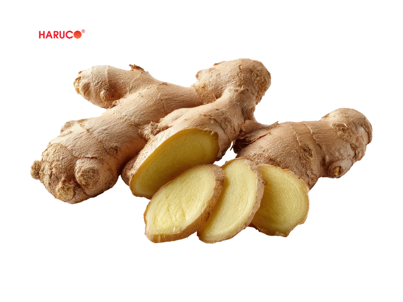 leu-xong-hoi-tai-nha-haruco