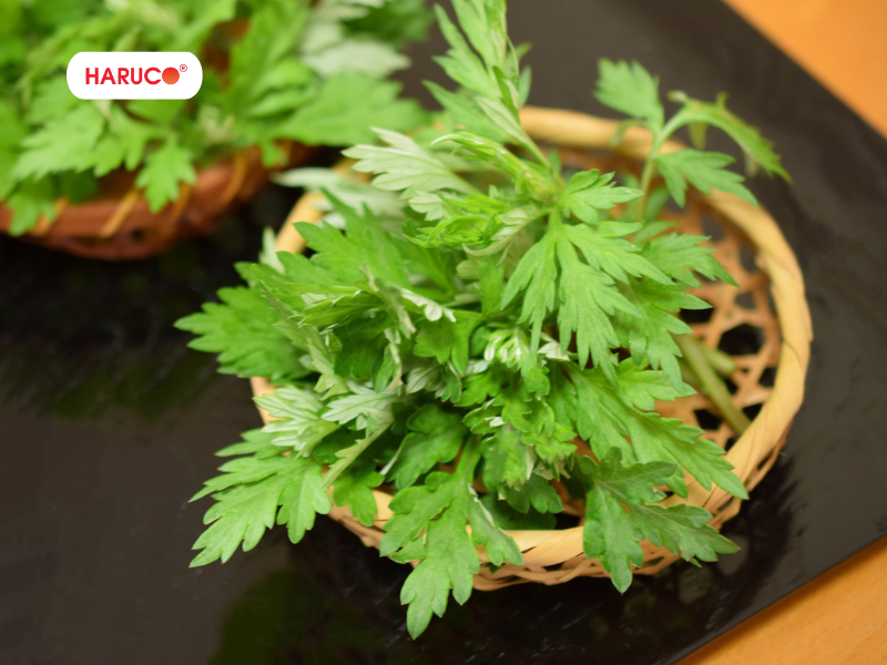 leu-xong-hoi-tai-nha-haruco