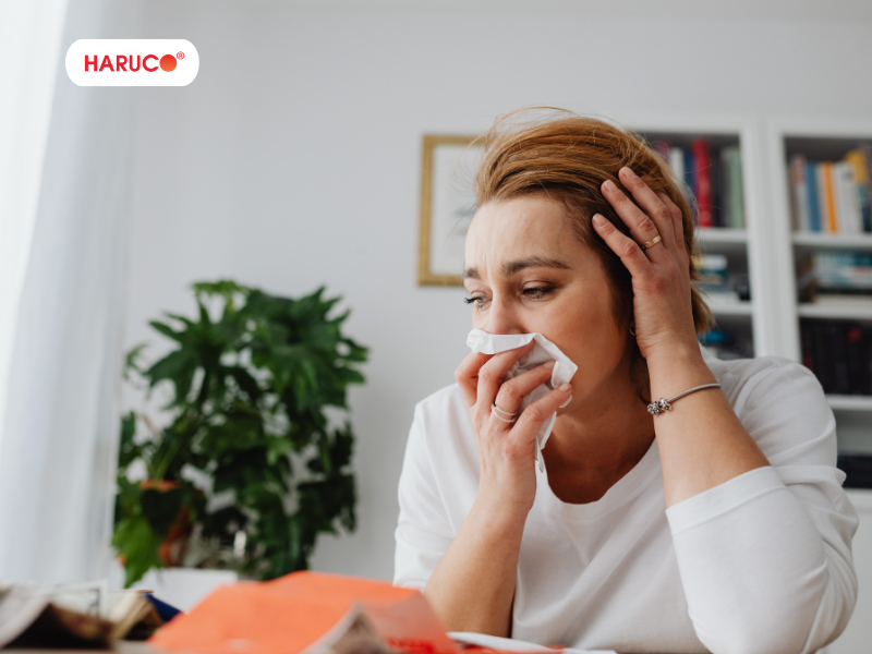 leu-xong-hoi-tai-nha-haruco