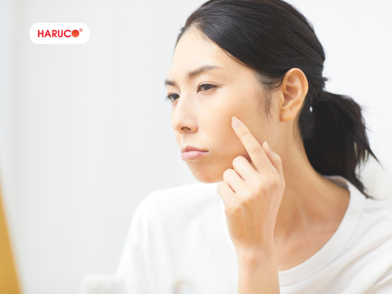 leu-xong-hoi-tai-nha-haruco