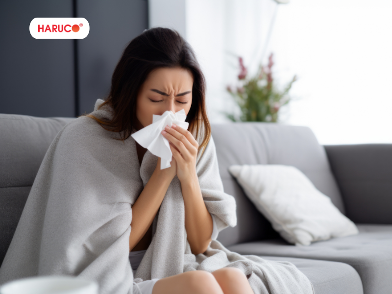 leu-xong-hoi-tai-nha-haruco